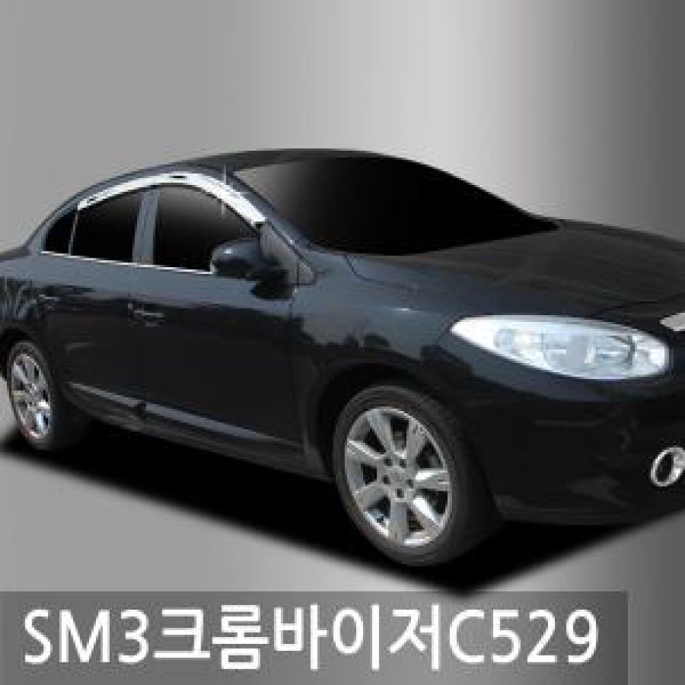 진흥/SM309현재크롬도어바이저4P/C529 o1