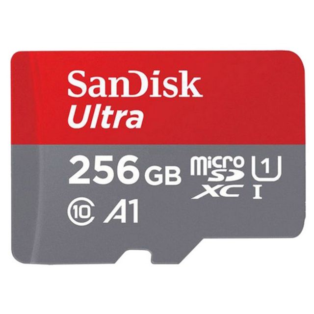 샌디스크 Micro SD카드(256GB/SanDisk)