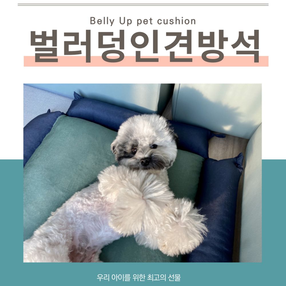 풍기인견 4면 벌러덩 중대형견 범퍼 쿠션 폭스박스