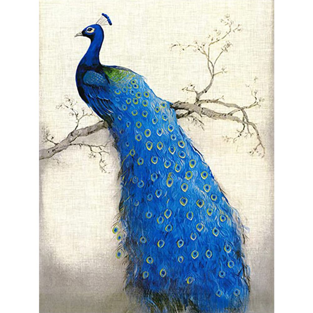공작새 (캔버스) 보석십자수 40x50