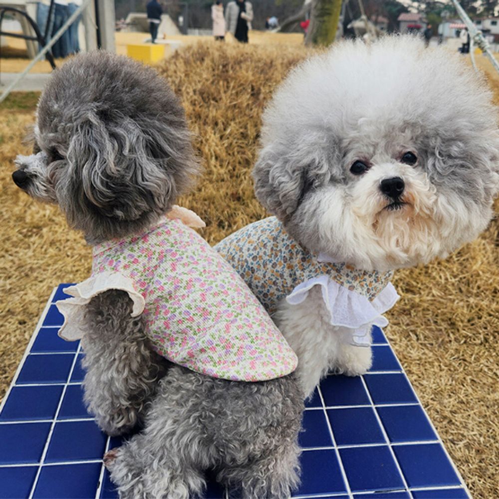 강아지 프릴 스타일 레이스 꽃송이 티셔츠 고품질 봄