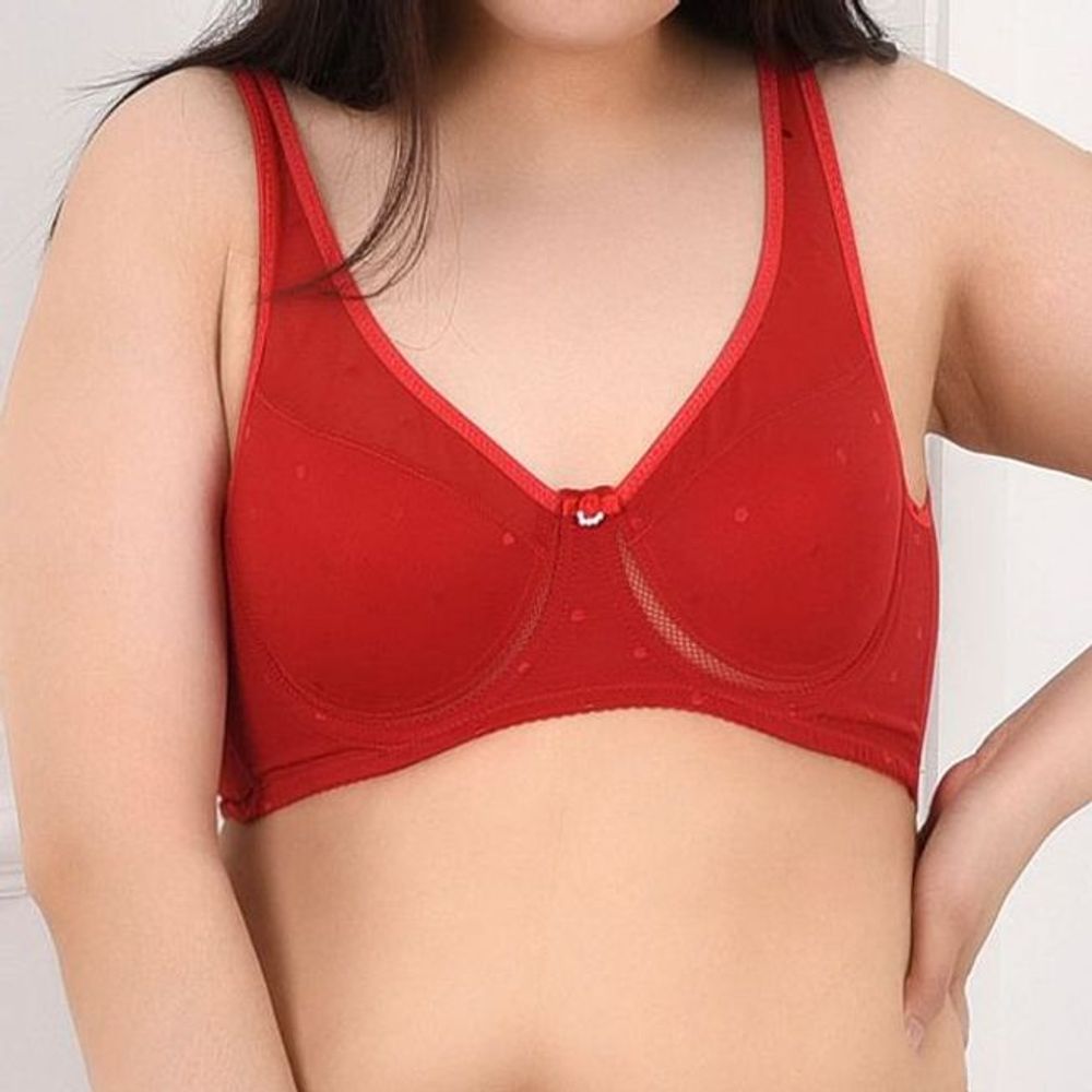 노와이어 매쉬망 비너스 빅사이즈 B컵 스포츠브