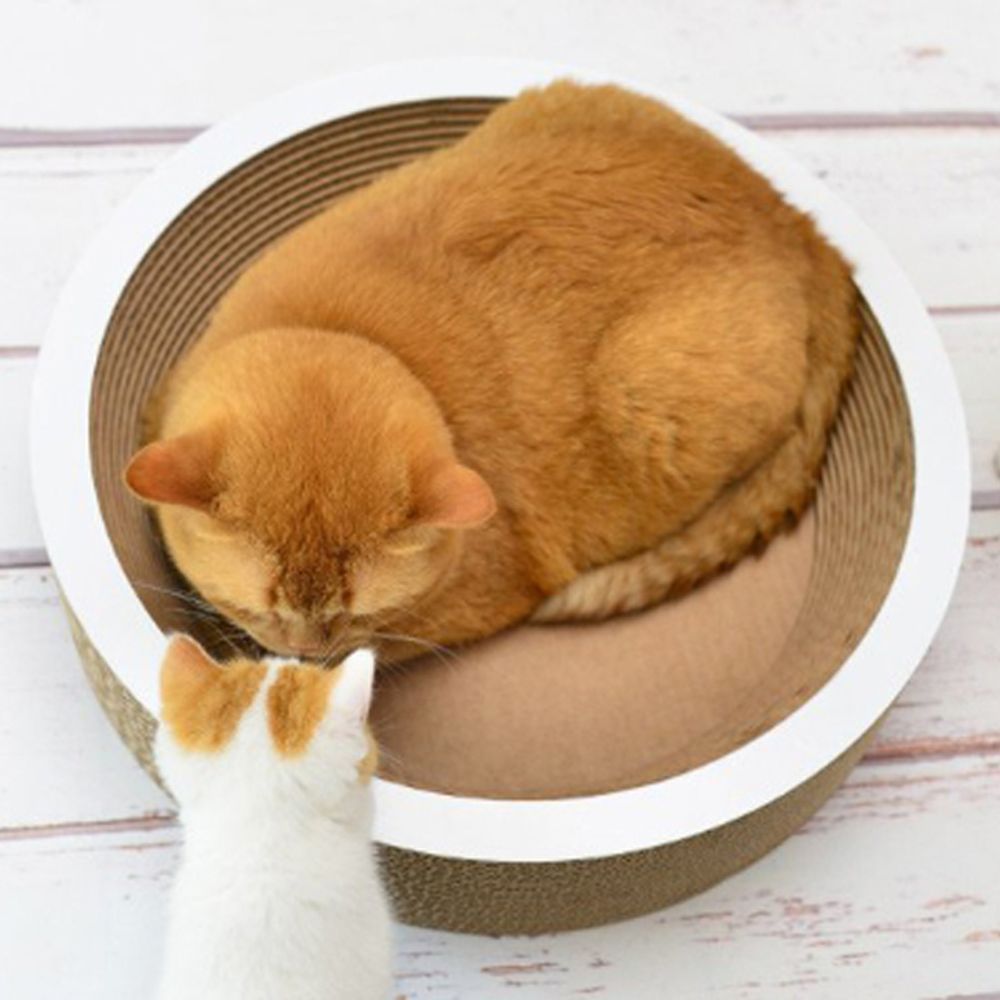 고양이 원형 쿠션 스크래처 라쿠프 50-11 1P 발톱