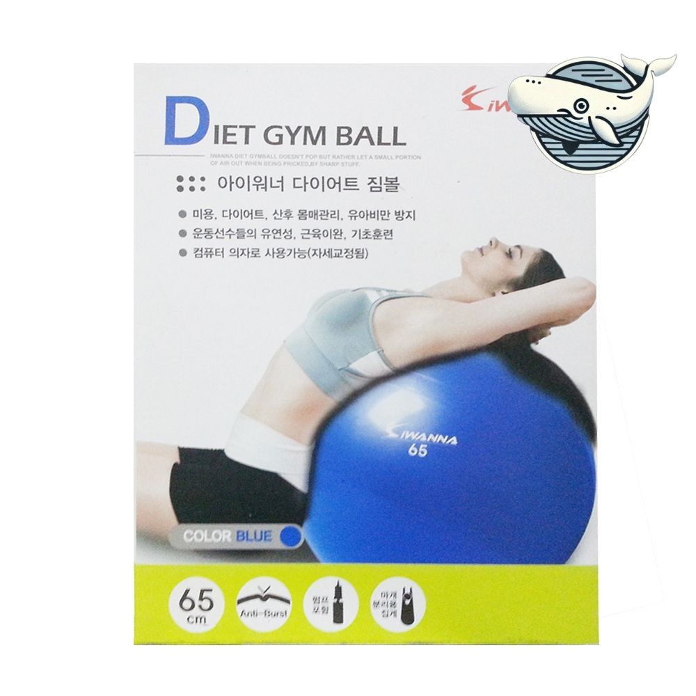 운동 용품 체중 감량 짐볼 65cm 블루