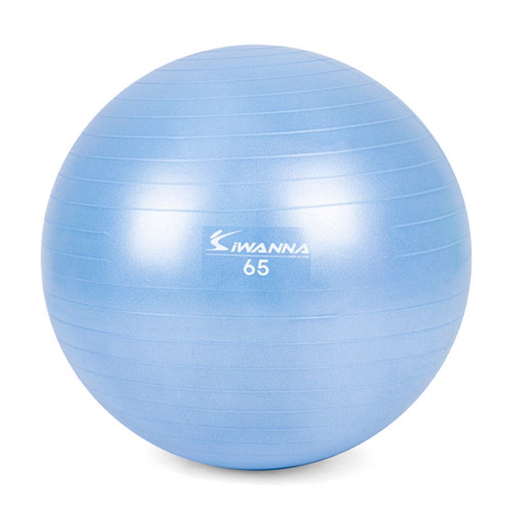 짐볼 65cm 운동짐볼 라벤더 블루 마사지볼