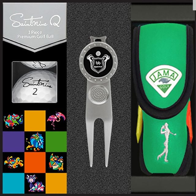 넥센세인트나인QW 376골프공선물 고반발골프공 비거리