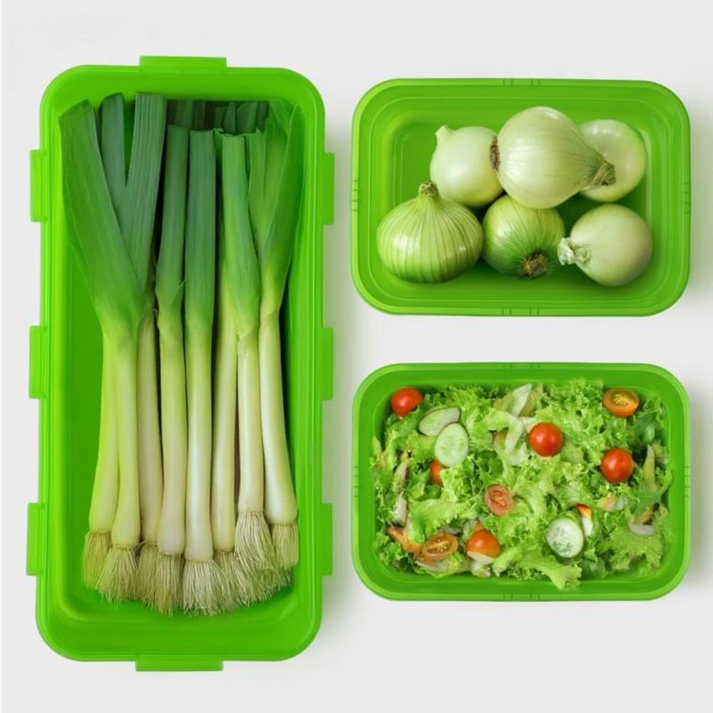 미라클 프레시존 야채통 5p 기프트세트