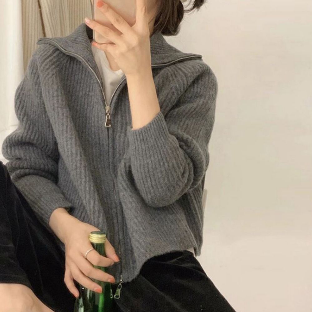 여자 골지 베이직 하이넥 심플 니트 집업 카라