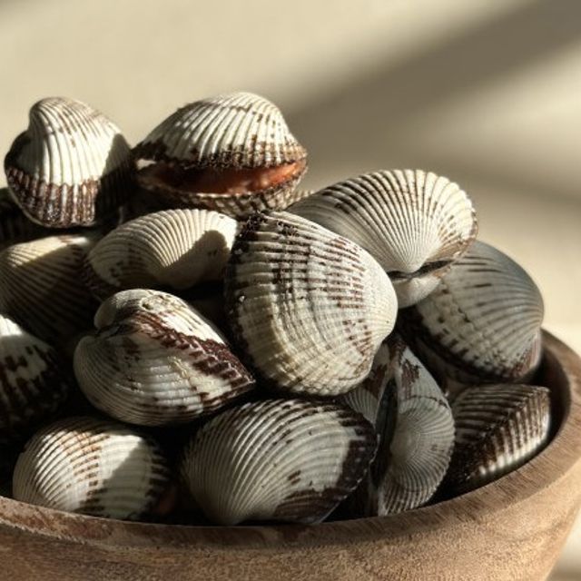 벌교 꼬막 새꼬막 / 1kg / 소 / 120미 내외