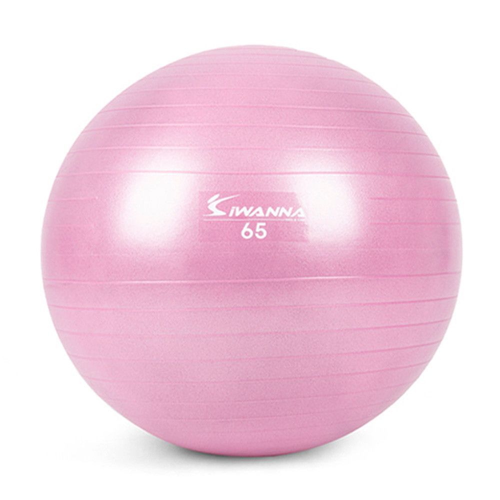 65cm 운동짐볼 짐볼 라일락 퍼플 마사지볼