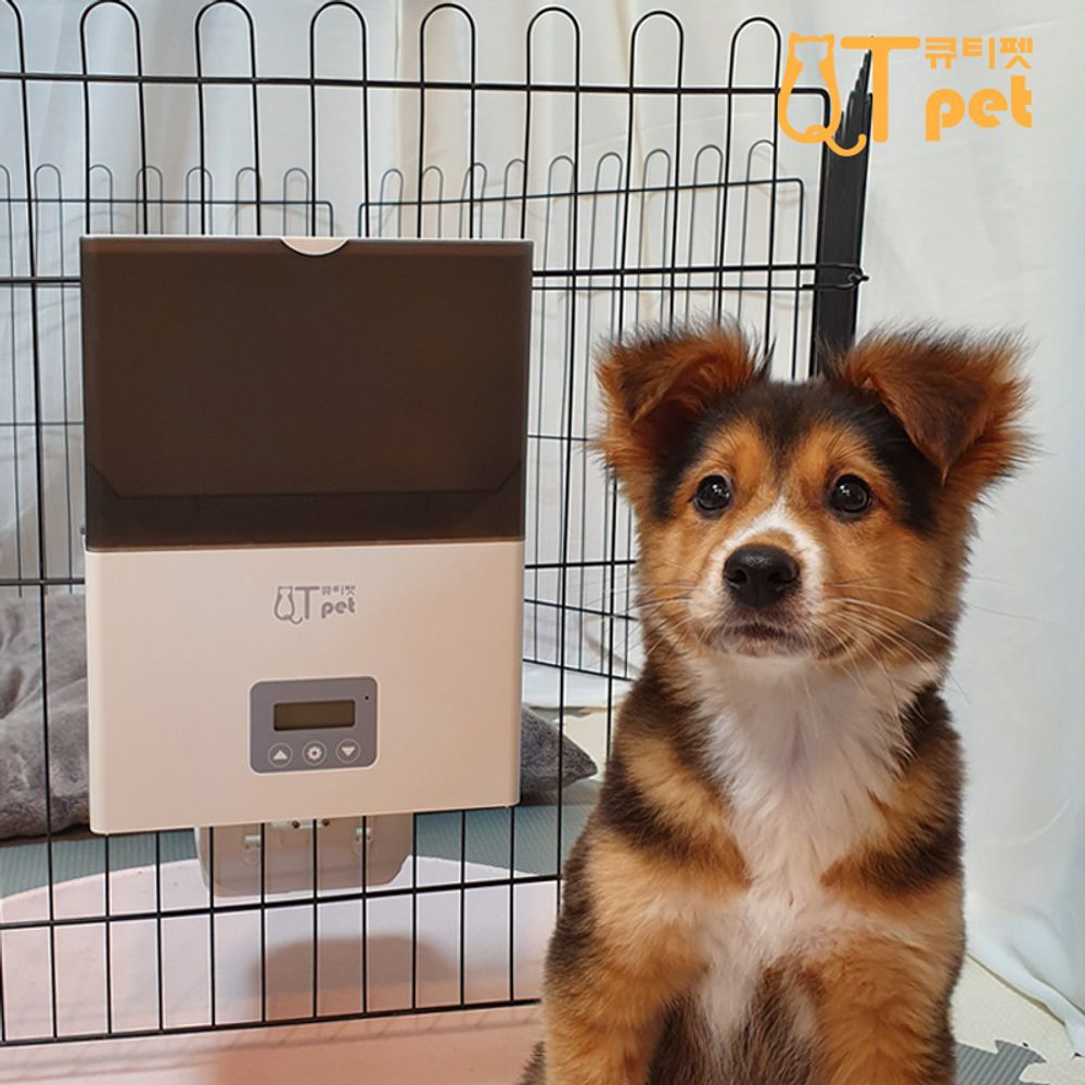 큐티펫 QTPET F4 LCD 케이지 애완동물 자동 급식기