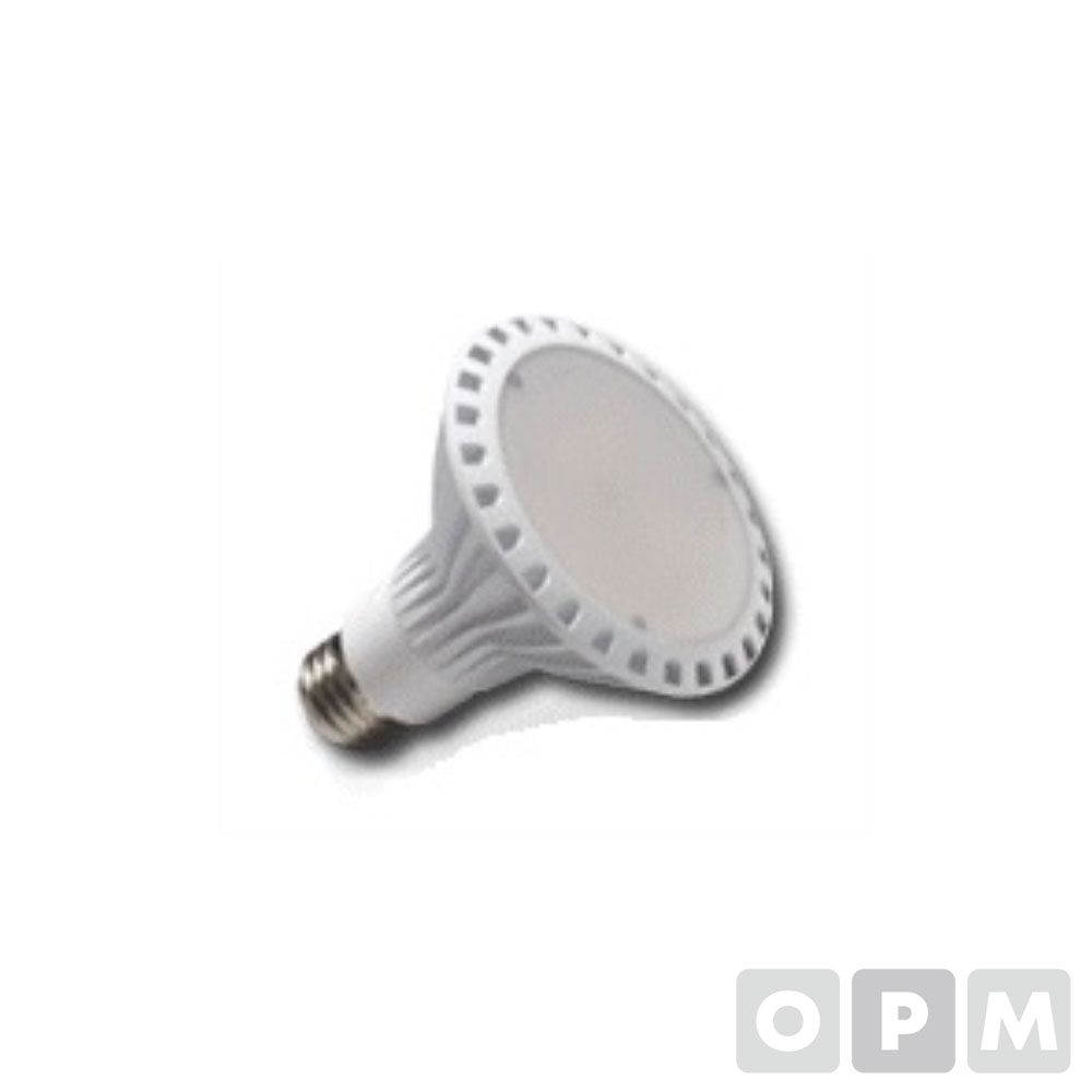 LED/PAR30(투광등) 17W220VKSΦ94x87mm(주광색)