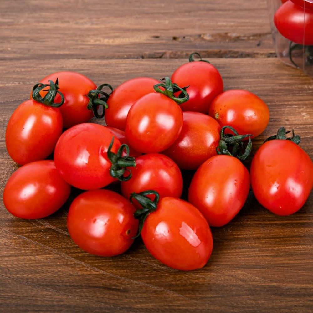 스테비아 대추방울토마토 2kg