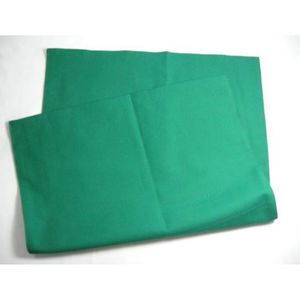 아이티알,NE 대진 스킨타올 녹색 40X60cm 병원 의료용 수술포