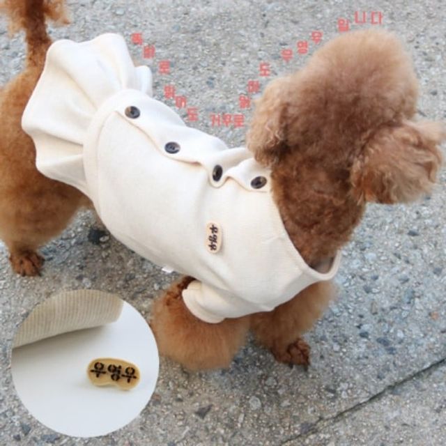 데일리펫용품 90CD우영우원피스