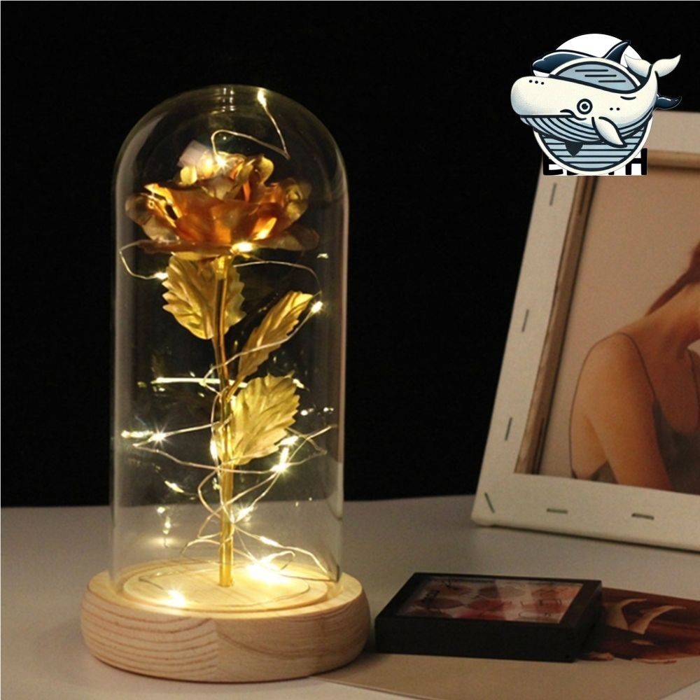 황금장미 LED 무드등 유리돔 카네이션 장식