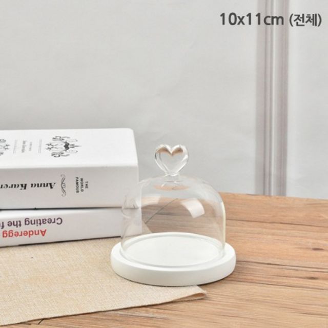04 원목받침 반구유리돔 용기 화이트 10개