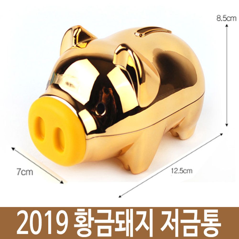 [문구온]2019 황금 돼지 저금통