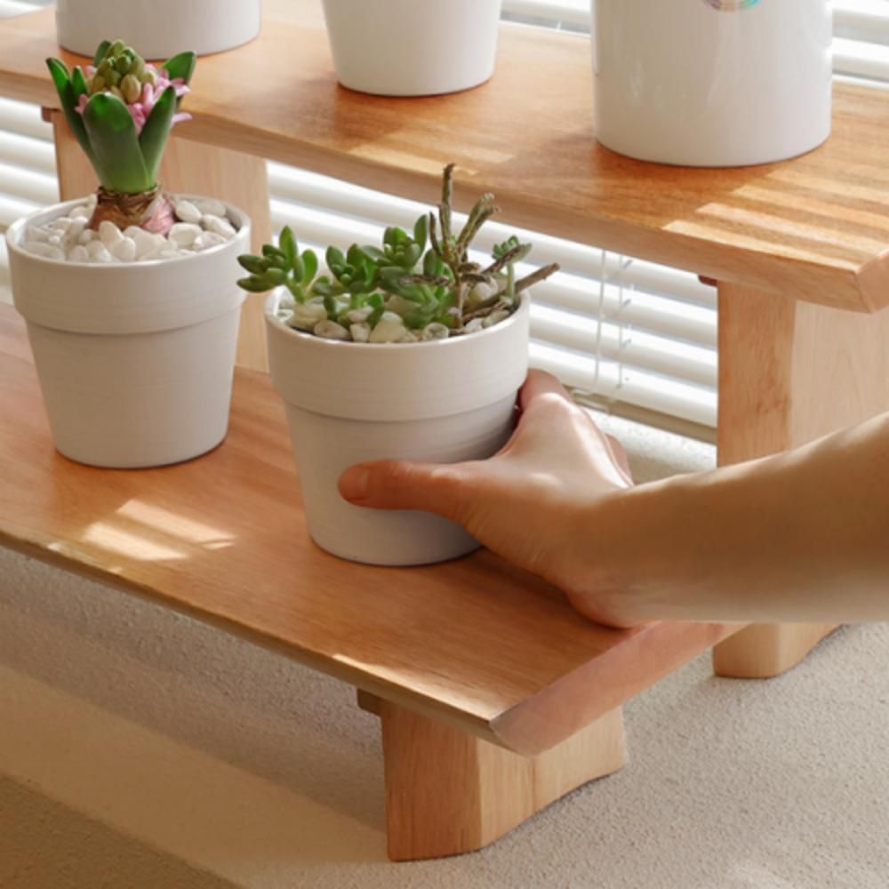 우드 화분 선반 진열대 원목 반려식물 30cm 3p