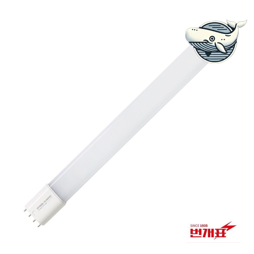 주광색 LED 에너지절약 조명 인테리어