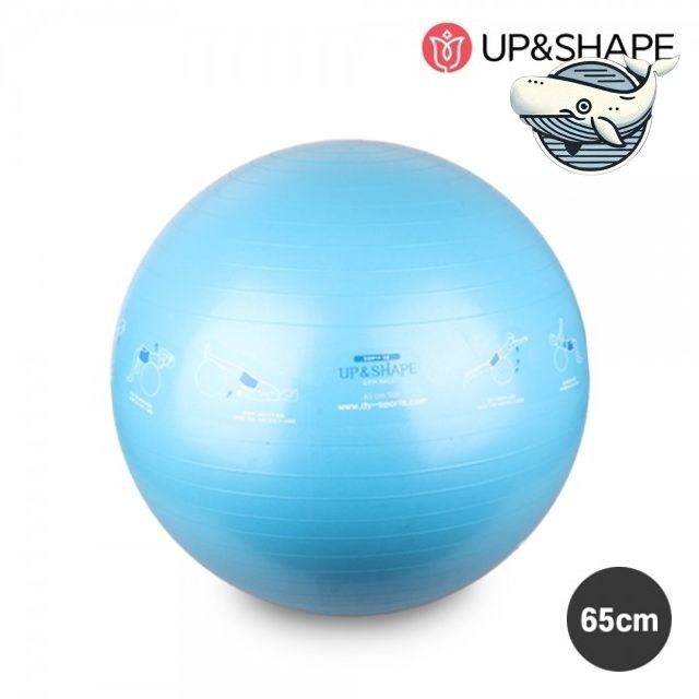 홈짐 필라테스 짐볼 65cm 코어운동 밸런스