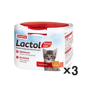 아이티알,NE 비어파 락톨(분유) 키튼 250gX3 어린 고양이사료 영양