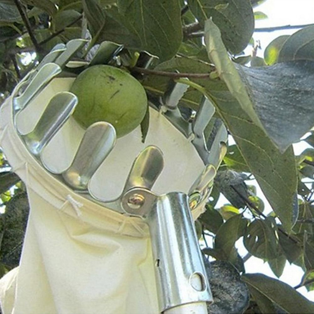 과일 따기 헤드 열매 수확기 감 사과 과수원 DD-12185