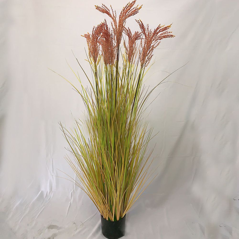 150cm 보리갈대 조화 브라운