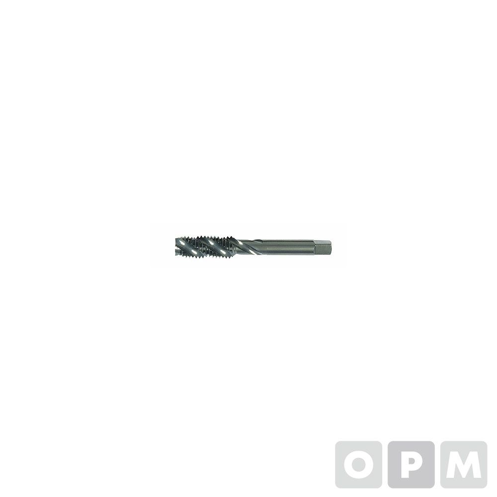 스파이럴탭(호모) EX-SFT M22X2.0 H (218275K)