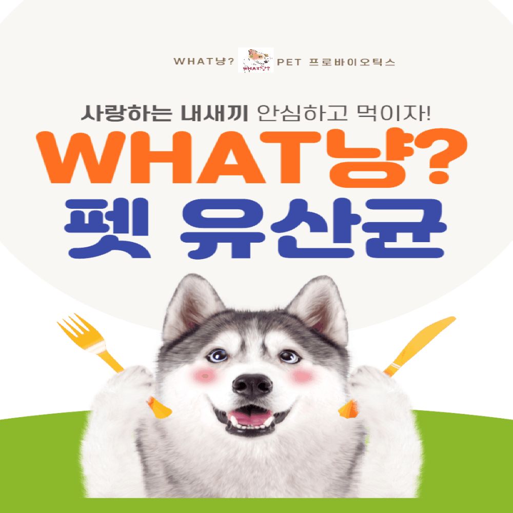 펫 유산균 먹으러 WHAT냥 강아지 고양이