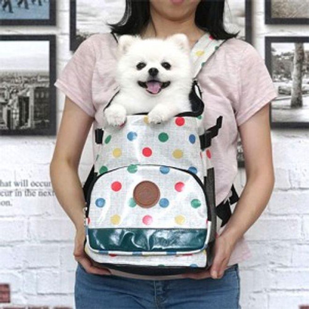 고양이 앞가방 강아지 슬링백 백팩 산책 외출 미디움