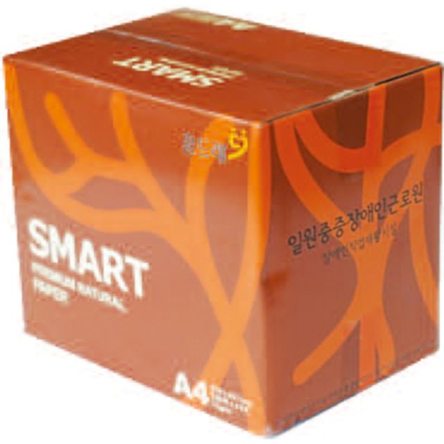 복사용지B4(75g/SMARTCOPY/250매x10권/박스) (60개