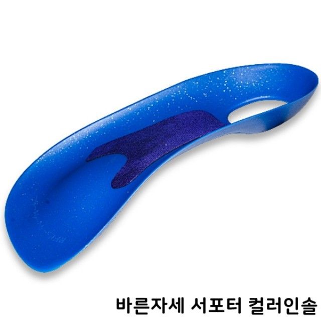 바른자세 서포터 컬러인솔