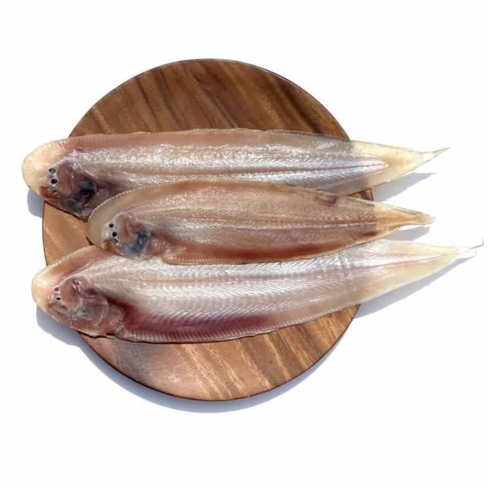 군산 반건조 박대 5미 소 반건조생선 말린박대