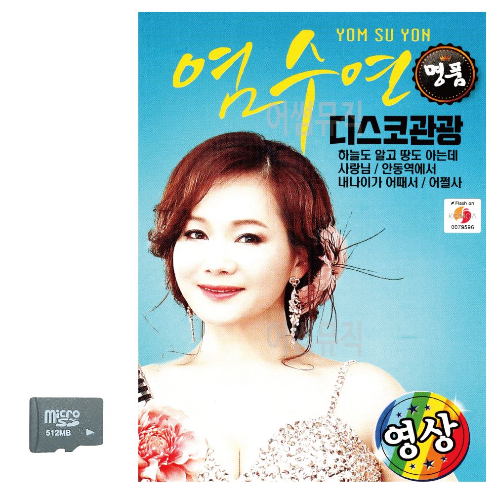 염수연 디스코 관광 영상 SD 노래