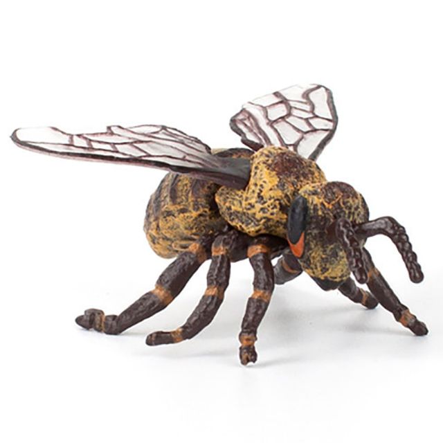 곤충 모형완구 허니 꿀벌 디테일 피규어 곤충장난감
