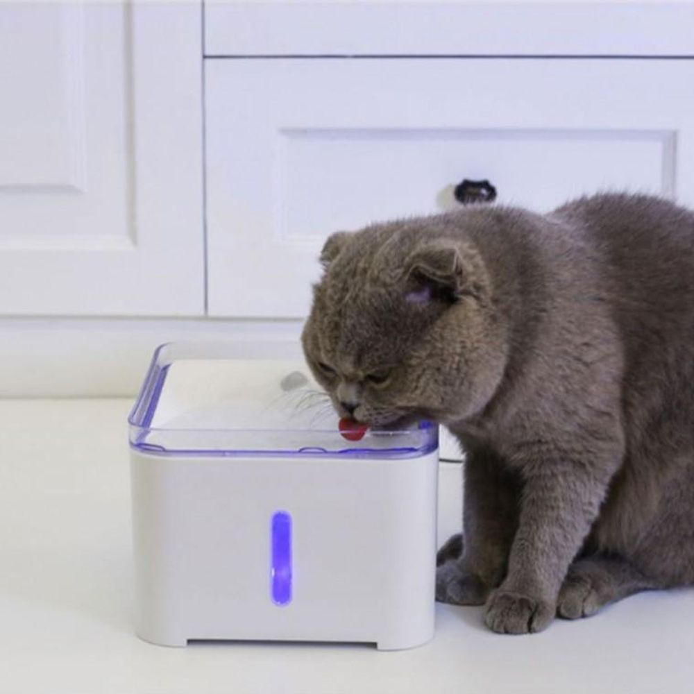 2.0L 사각 펫 강아지물그릇 음수기 자동급수기 고양이