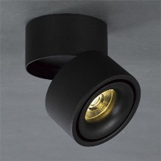 LED 로사 COB 직부등 12W 블랙 전구색 스포트 포인