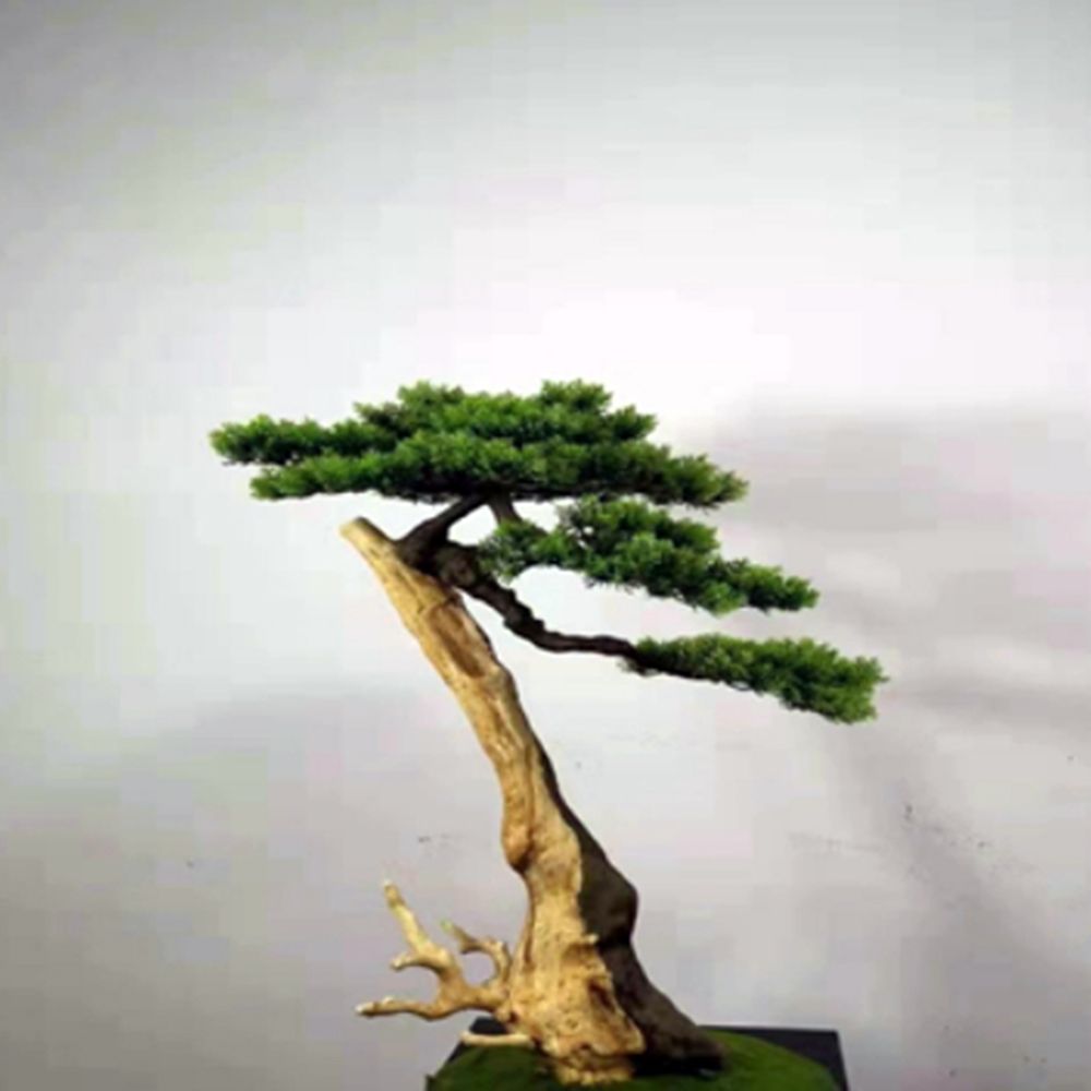80cm 6P 조화 측백나무