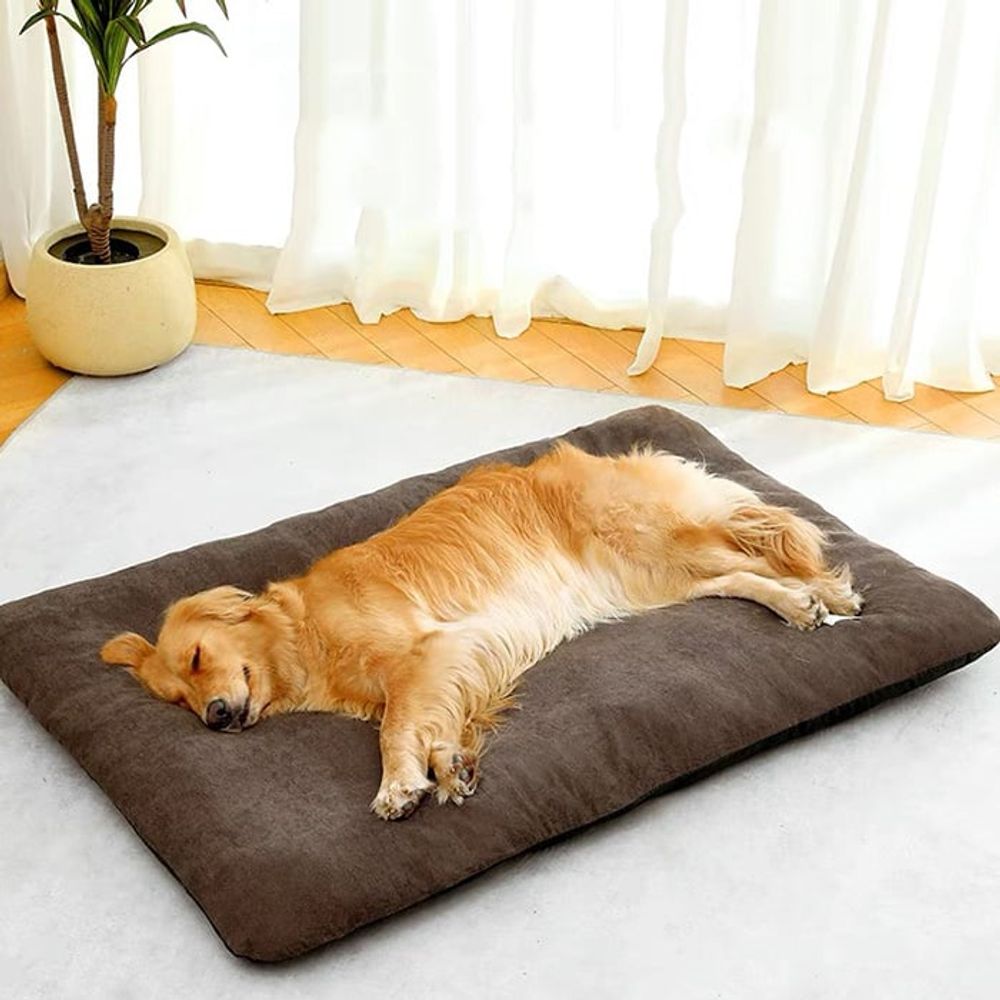 강아지방석 쿠션 반려견 고양이 침대 벨벳 매트2XL