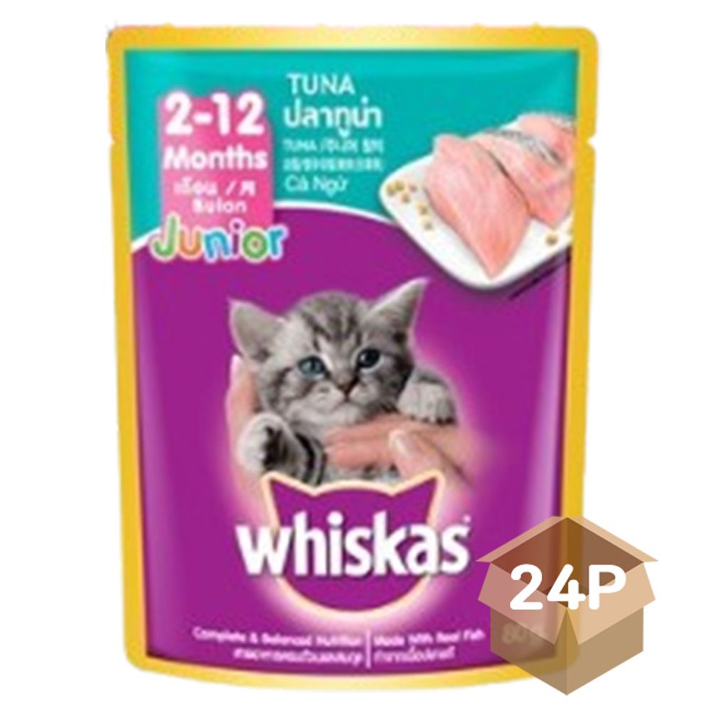 고양이 파우치 사료 주니어 참치 80g 24P 습식 영양