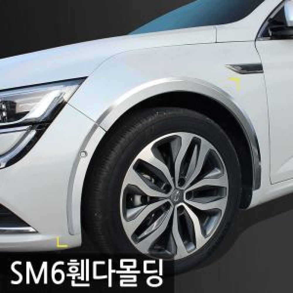 경동 SM6 휀다몰딩 옵션 1