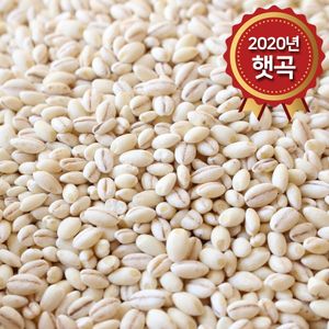(논앤밭위드) 2020년 햇곡 찰보리(국산) 1kg