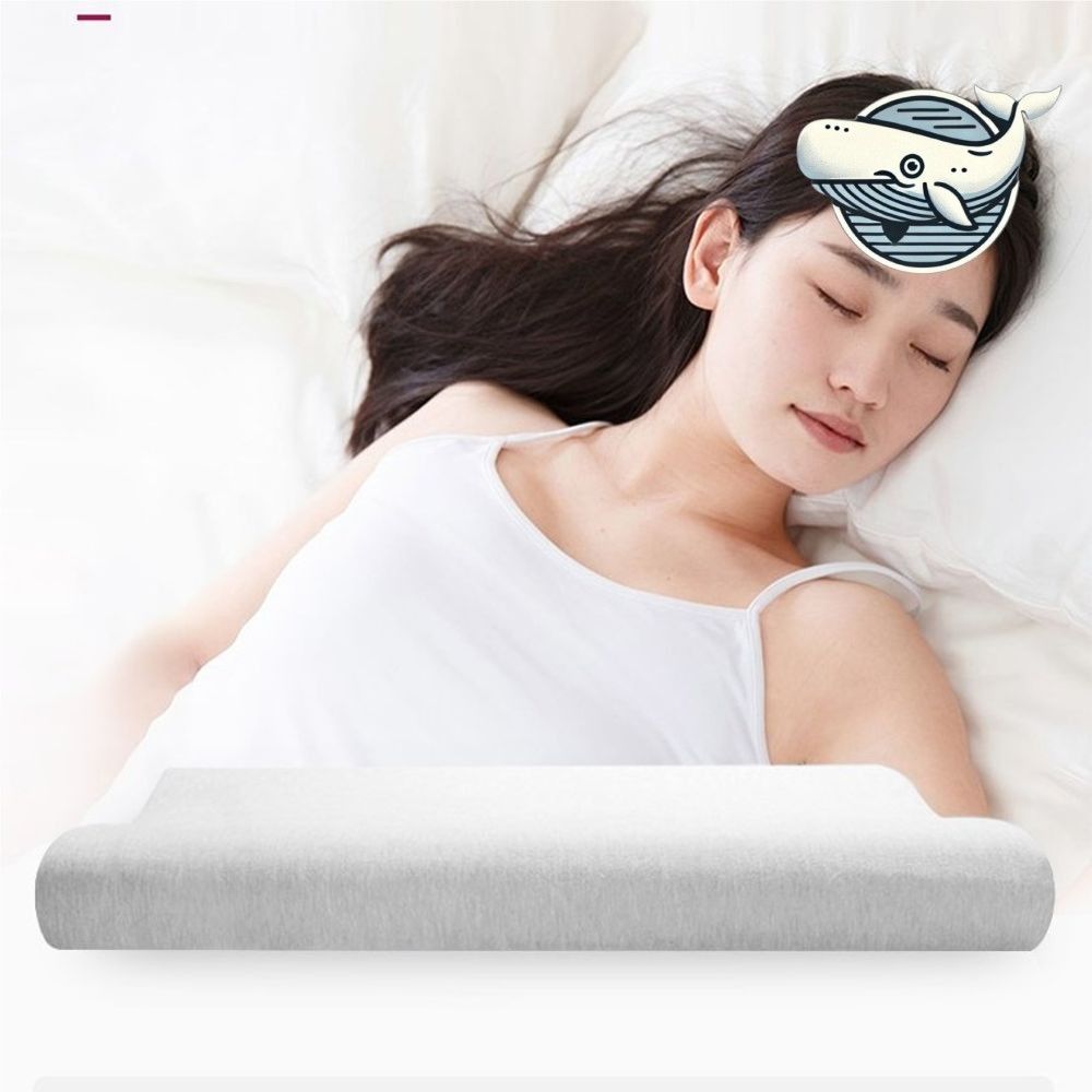 편안한 수면 메모리폼 베개 50cm 경추 보호