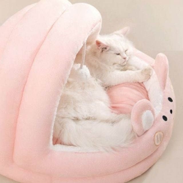 큐티펫 반려동물 동굴하우스 고양이 강아지방석