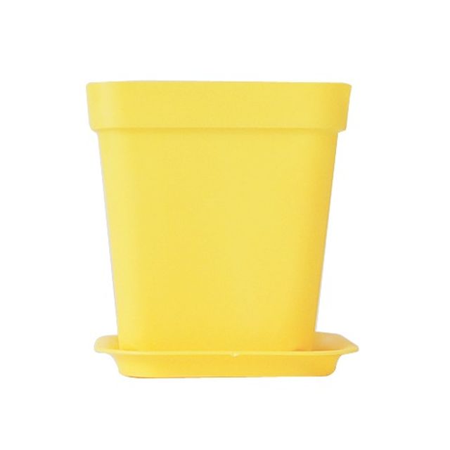 안전화분+받침(노랑색) 7cmx8cm 200개