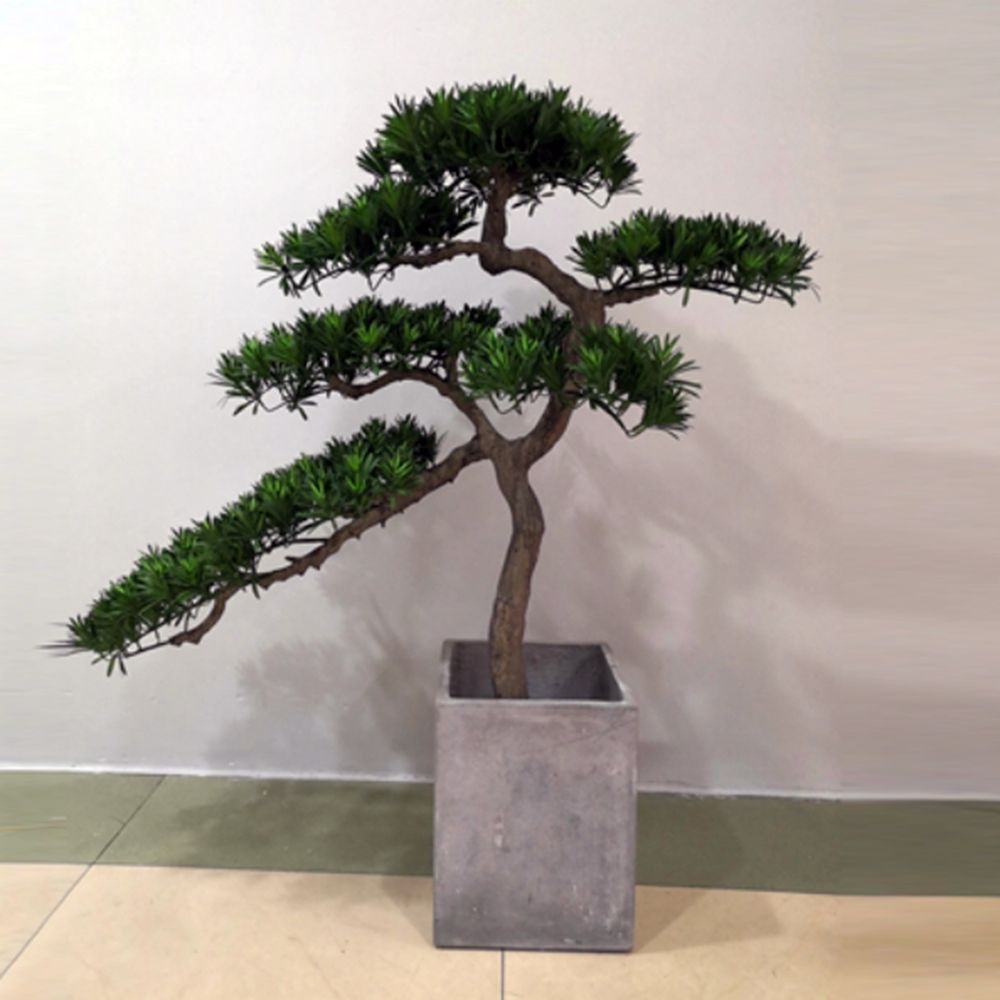 조화나무 4P 나한송 110cm
