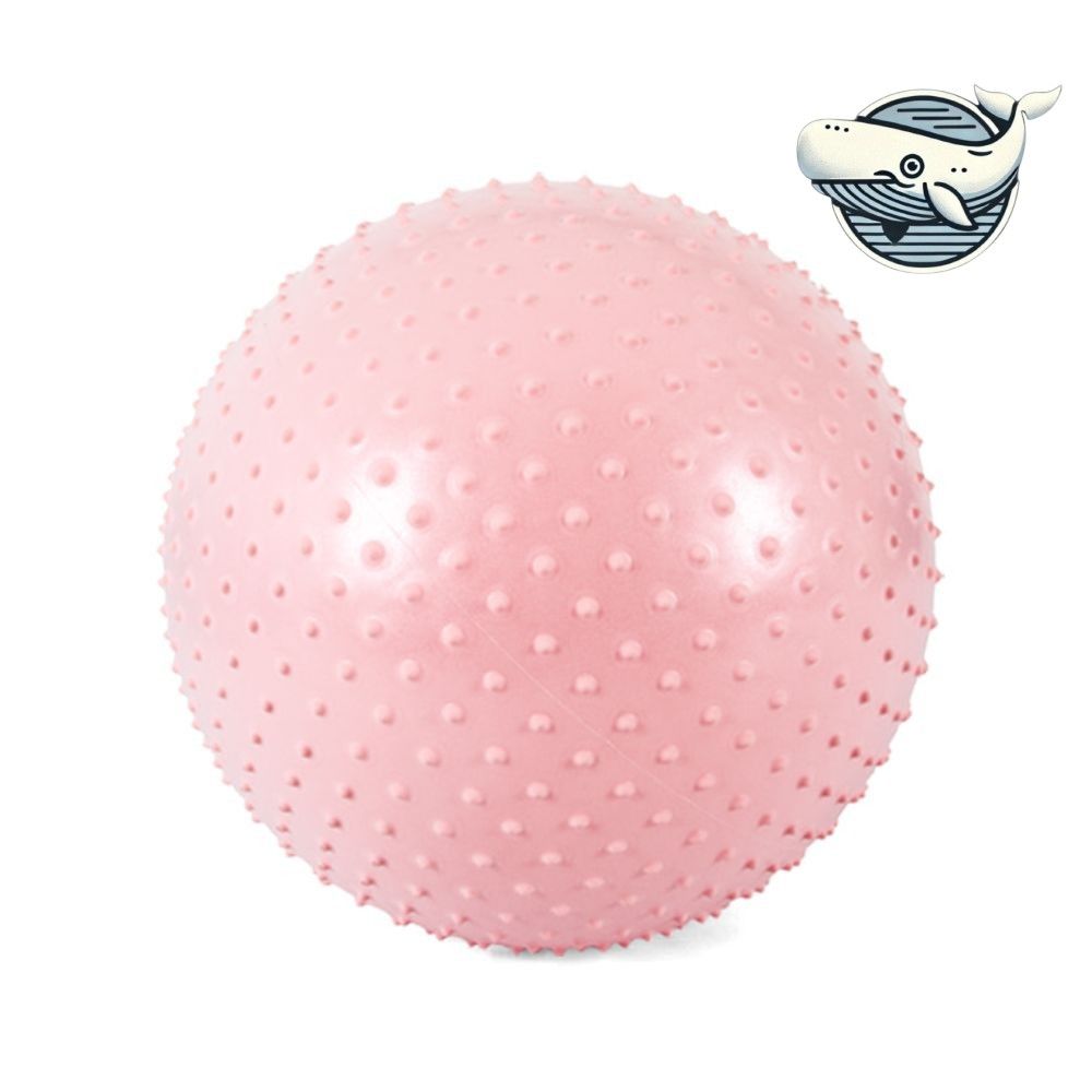 편안한 스튜디오 운동볼 색상선택 65cm 고급