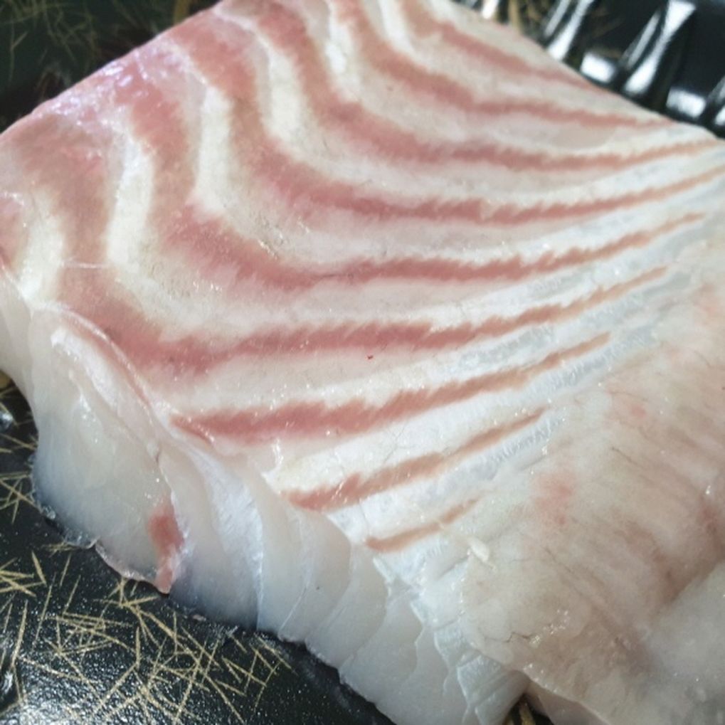 광어회 광어필렛 600g
