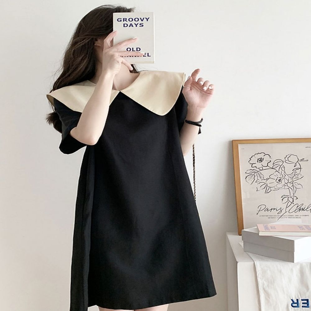 여자스러운 빅 카라 하객룩 데이트 패션 반팔 원피스